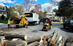 Best Aeration Services  in Cockeysville, MD