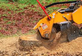 Best Lawn Drainage Solutions  in Cockeysville, MD