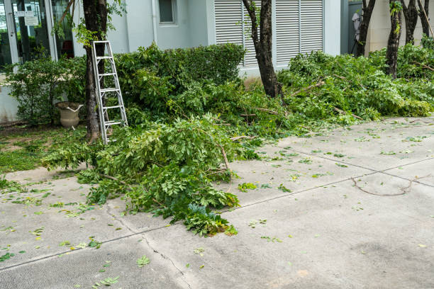Best Lawn Pest Prevention  in Cockeysville, MD